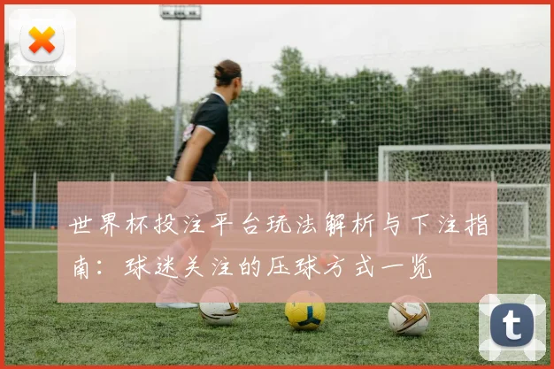 世界杯投注平台玩法解析与下注指南：球迷关注的压球方式一览