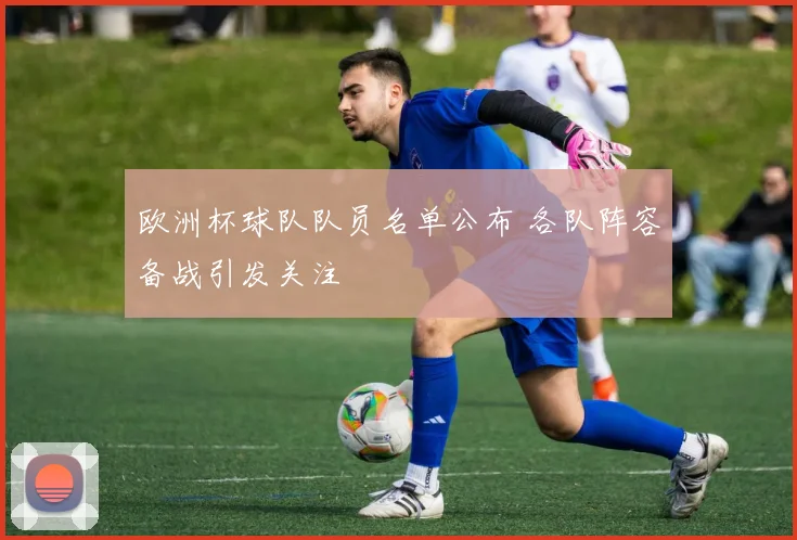 欧洲杯球队队员名单公布 各队阵容备战引发关注